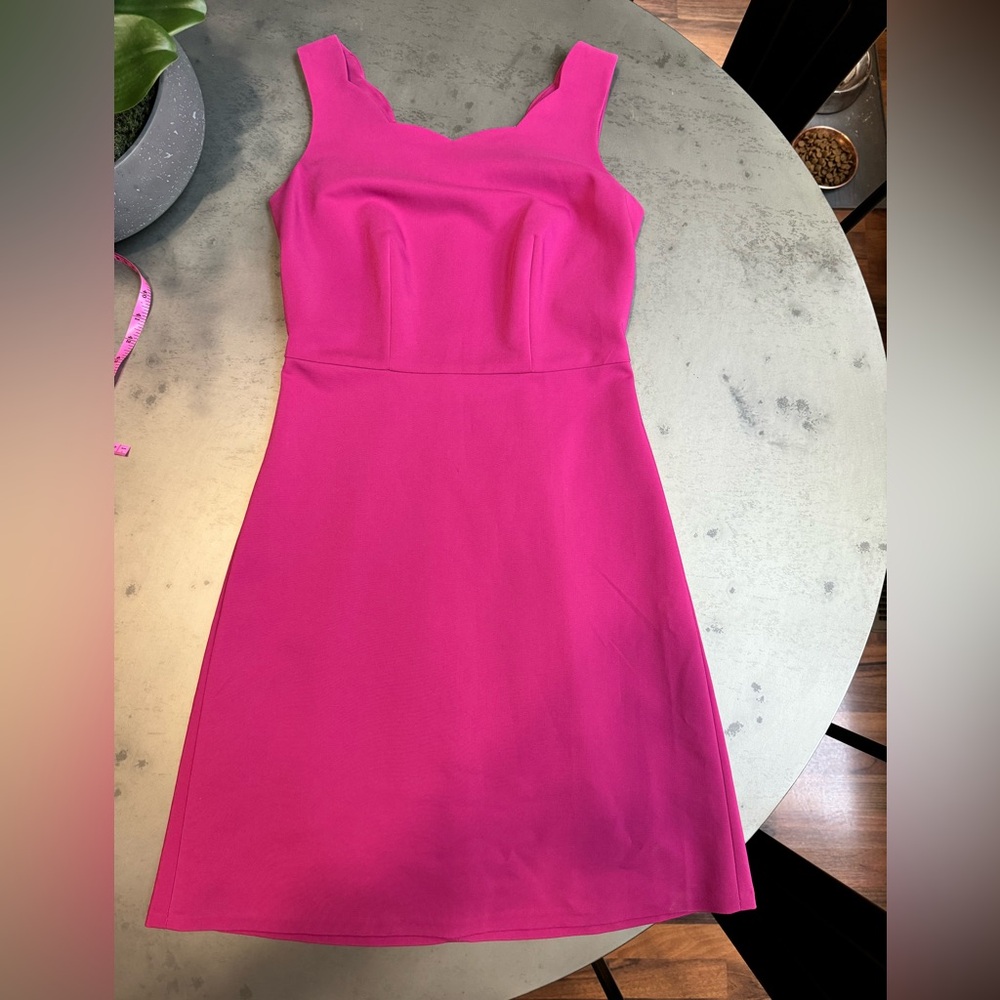 The Limited - knee length dress with scalloped neckline - size 2 tall